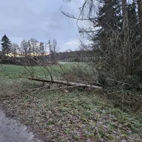 20250110_075332.jpg